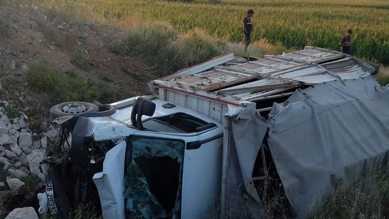 Ticari kamyonet şarampole devrildi