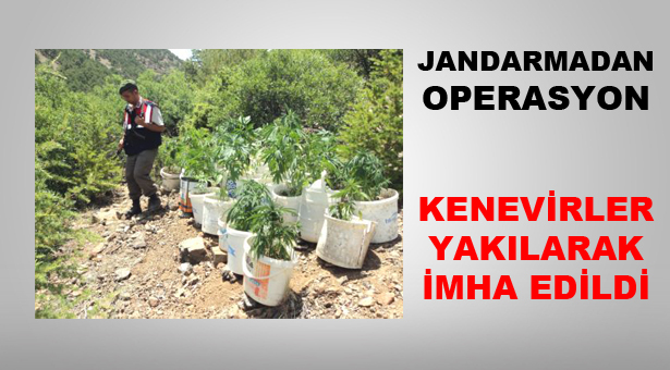 Karamanlı’da Uyuşturucu Operasyonu