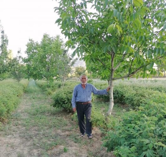 Yaşlı adam hayatını kaybetti