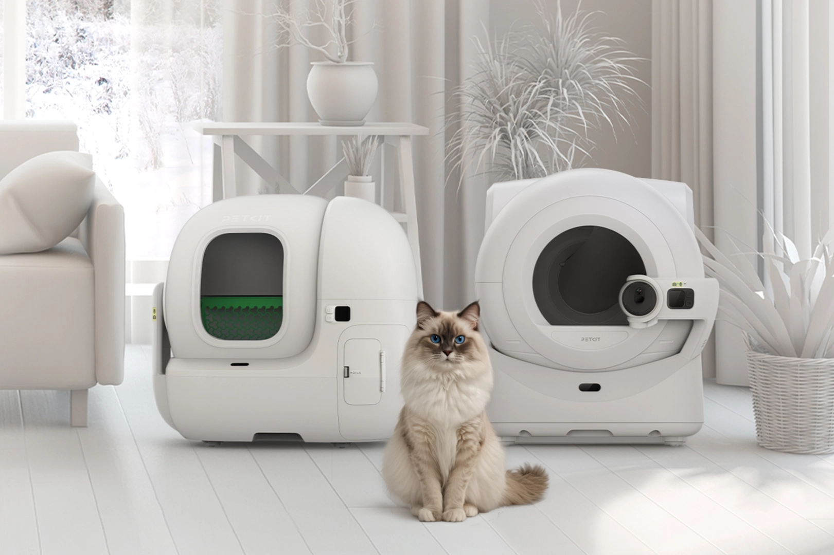 Kedili Evlerde Hijyen ve Konfor için Yeni Nesil Çözümler