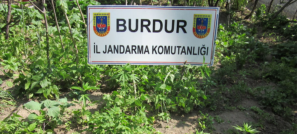 Tefenni’de Kenevir Operasyonu