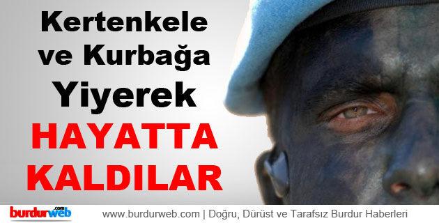 Kertenkele ve Kurbağa Yiyerek Hayatta Kaldılar