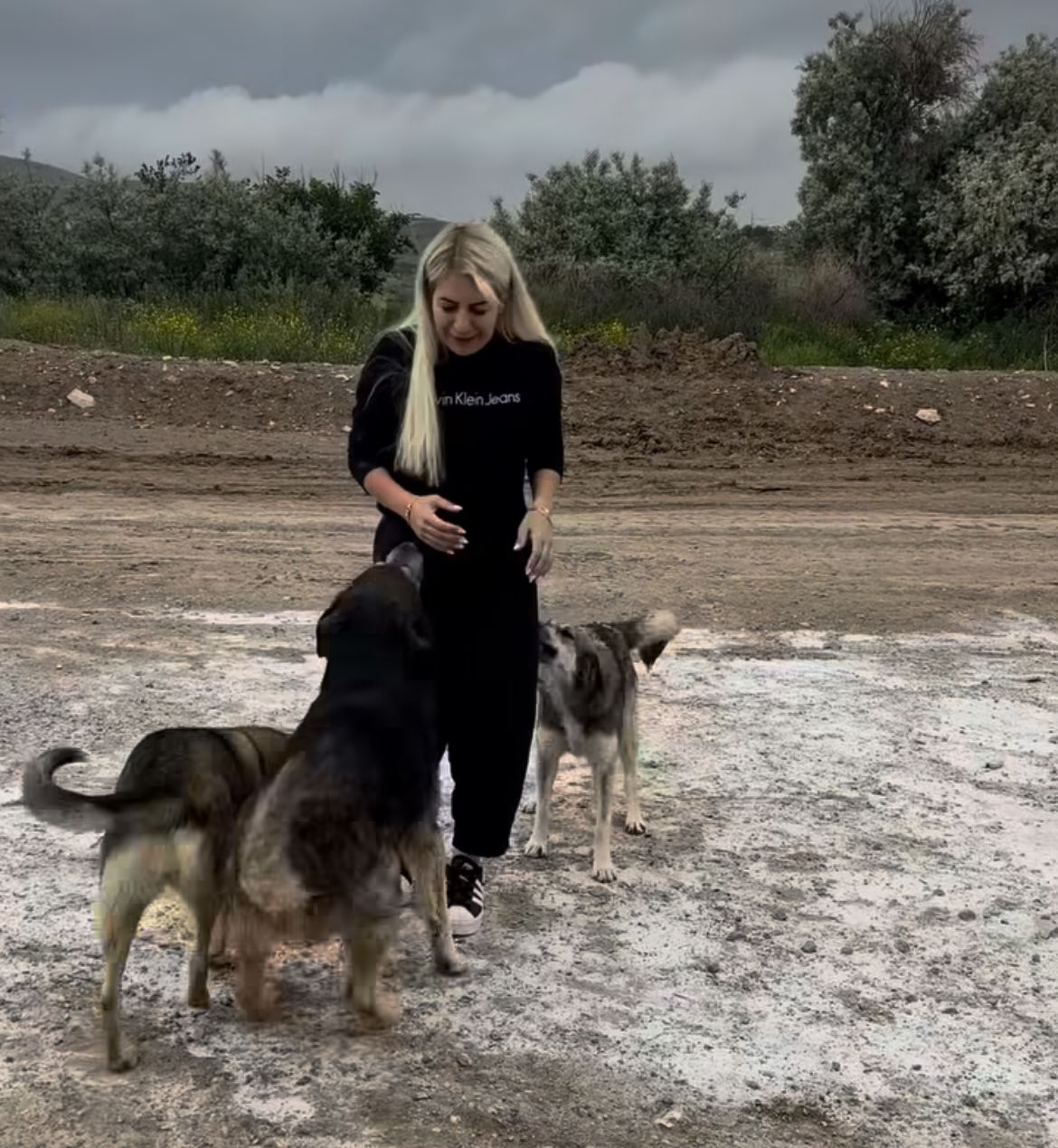 Köpek Velisi Buket Özgünlü Kimdir? Neden Tutuklandı?
