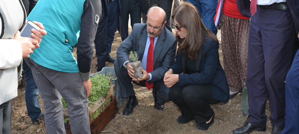 Burdur Gölü için Lavanta Dikildi