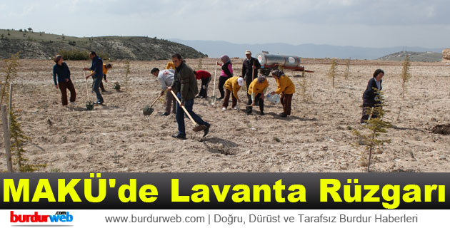 MAKÜ’de Lavanta Rüzgarı