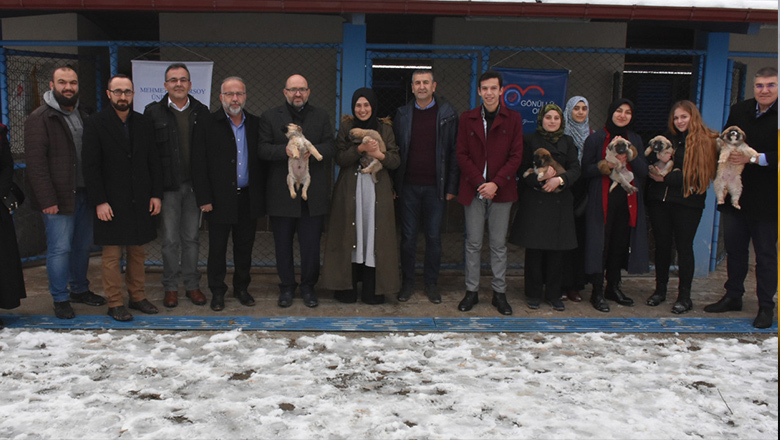 MAKÜ Geçici Köpek Konaklama Oteli hizmette