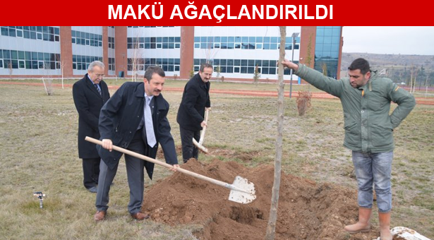 MAKÜ İstiklal Yerleşkesine Çınar Fidanları Dikildi