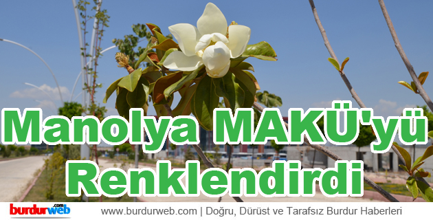 Manolya MAKÜ’yü Renklendirdi