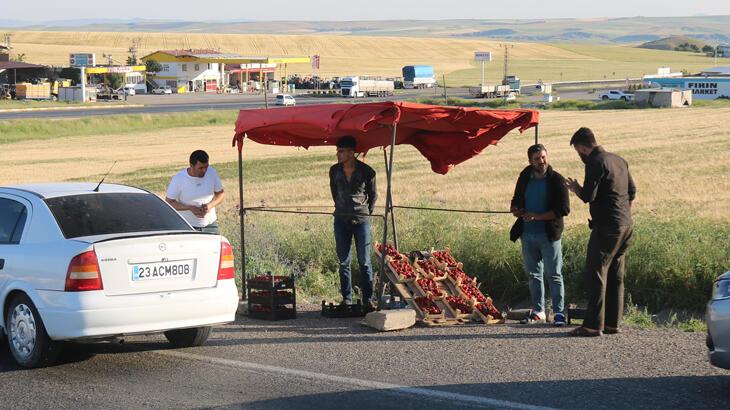 Market çalışanı ücreti yetersiz bulunca çilek işine girdi: Yıllık kazancı 800 bin TL