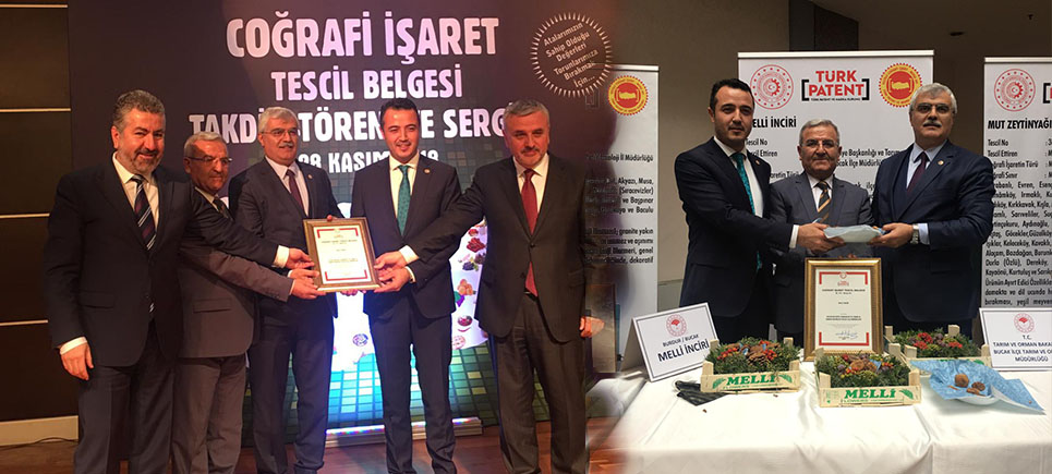 Melli İnciri, resmen tescillendi