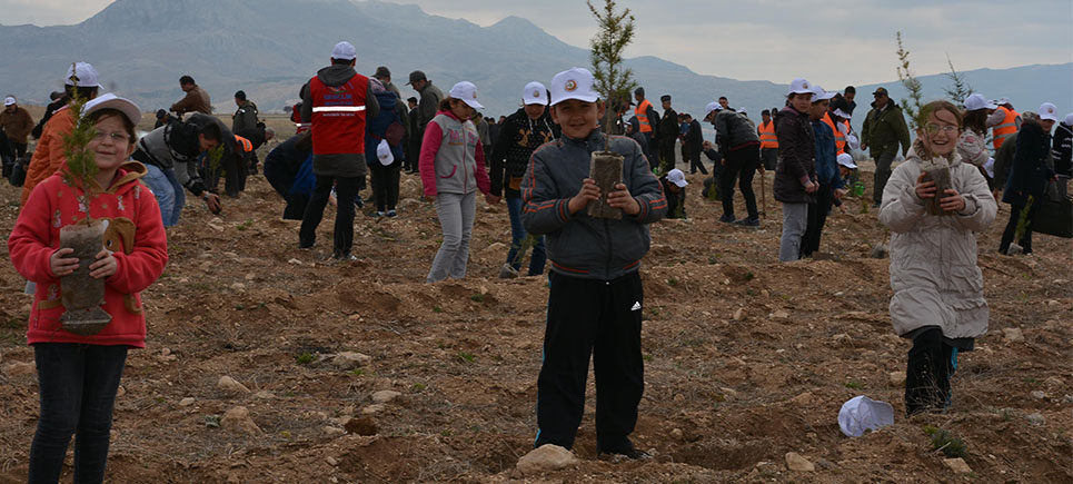 Yedisinden yetmişine kadar herkes fidan dikti