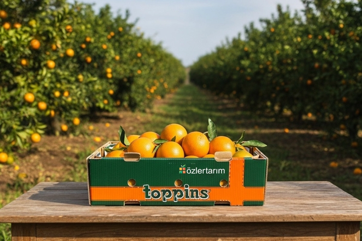 Mondi, Özler Tarım'ın Uzun Mesafe Sevkiyatlarında Gıda İsrafını Azaltıyor