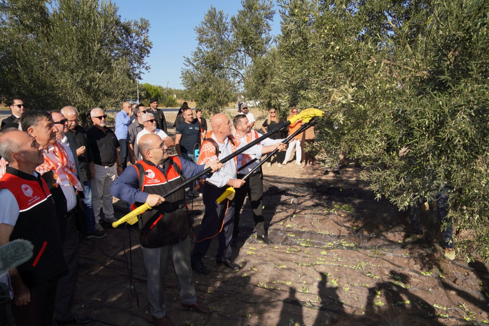 Mustafa Kürlek: "Zeytinyağında Yeni Dönemde Yüzde 20 Artış Bekleniyor"