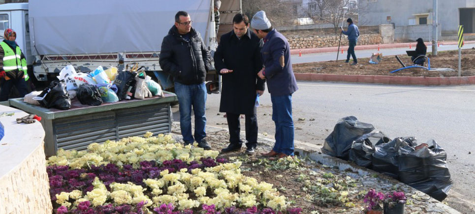 Bucak’ta 50 Bin çiçek toprakla buluştu