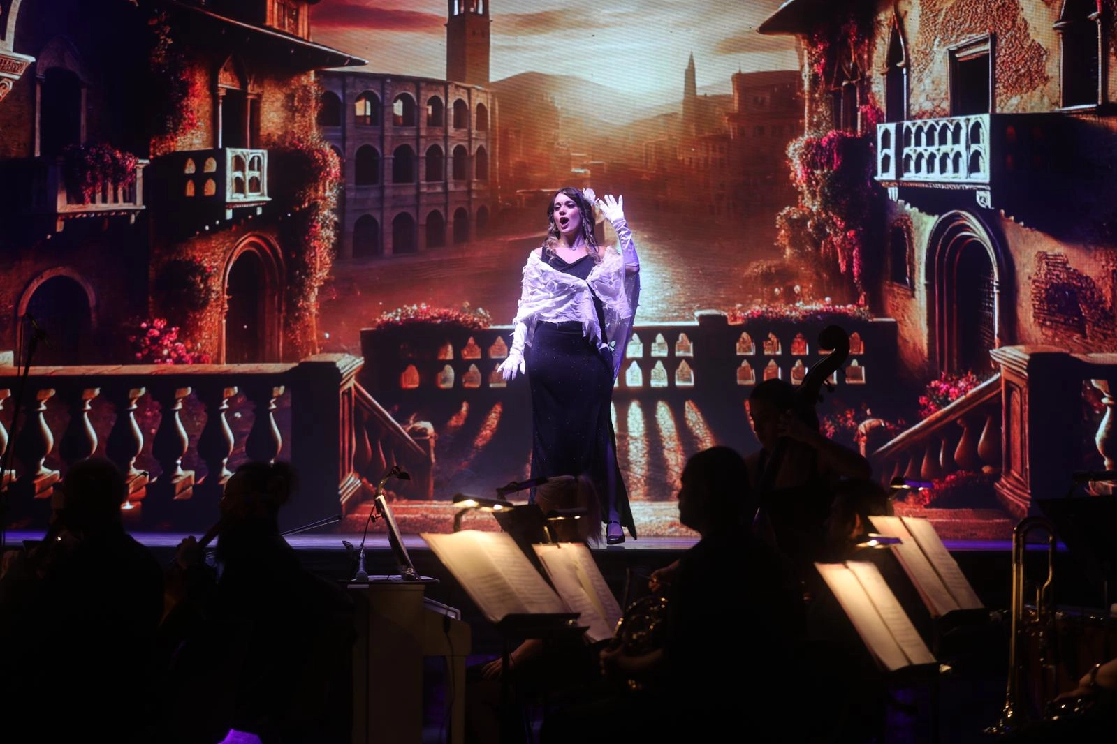 Niğde Bale ve Opera İle Sanata Doydu