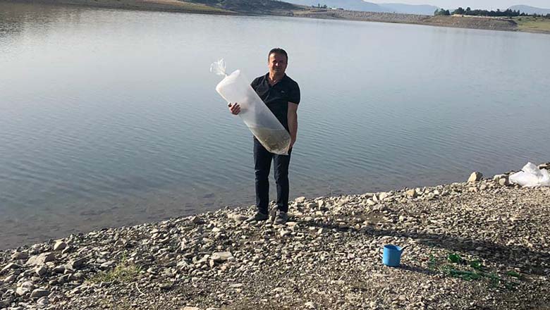 30 bin yavru sazan suya kavuştu