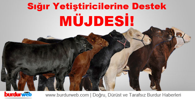 Sığır Yetiştiricilerine Müjde