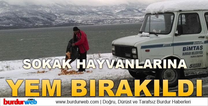 Sokak Hayvanlarına Yem Bırakıldı