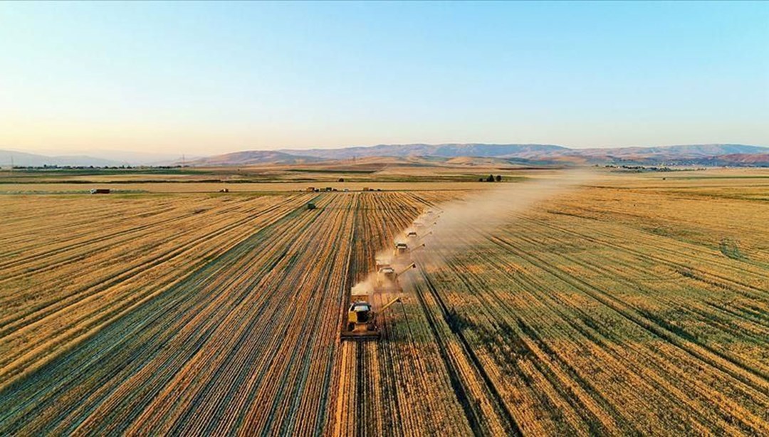 Tarımda yeni önlem: Bir yıl ekilmeyen tarla kiralanacak
