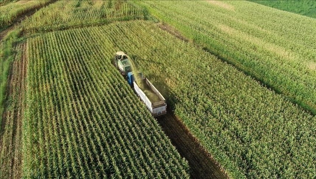 Tarımsal girdi fiyatları temmuzda yüzde 6,56 arttı