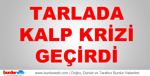 Yaşlı Adam Tarlada Kalp Krizi Geçirdi