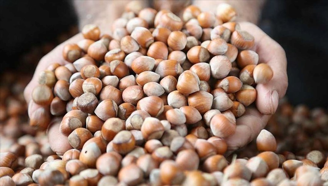 Fındık Fiyatları Belli Oldu!