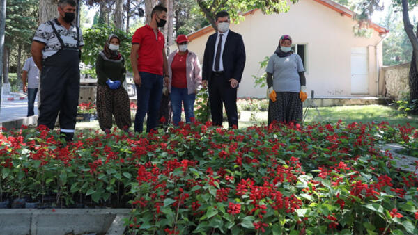 120 bin çiçek ücretsiz dağıtıldı