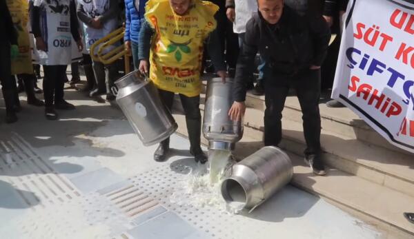 Litrelerce sütü yere döktüler