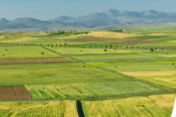 Yaklaşık 48 Milyon Liralık Tarımsal Destekleme Ödemesi Hesaplara Aktarılıyor