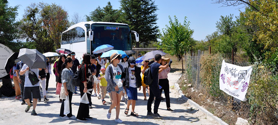 Ekoturizmde yeni ürün; üzüm hasadı