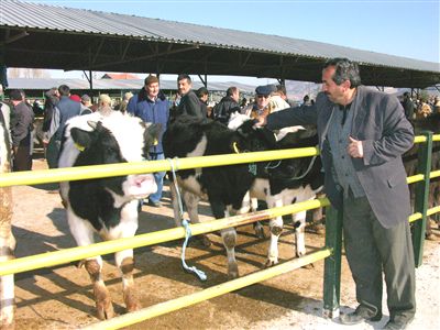 Isparta’da Canlı Hayvan Pazarı Açıldı