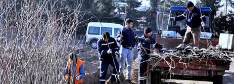 Isparta ıhlamur kokacak